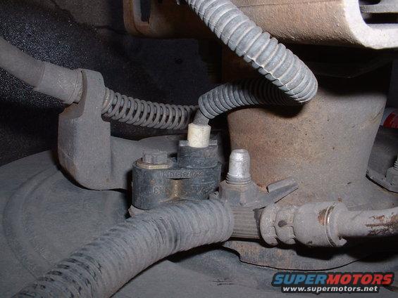 abs sensor rear