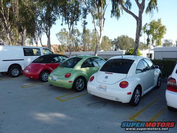 White 2003 Volkswagen Beetle rear view, license plate 5BPV410