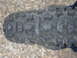 2006 Honda CBR-RR - tire