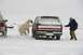 1996 Ford Bronco