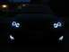 2003 Ford Focus - Just the halos.