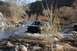 1996 Ford Bronco photo