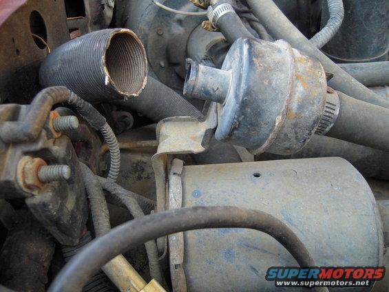 Close-up of engine bay hoses, a filter-like component, and wiring