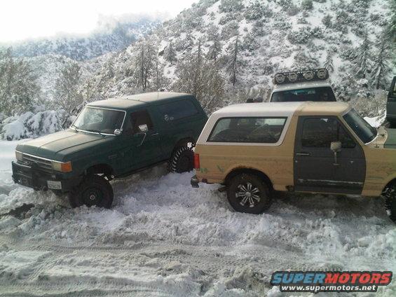 Tan and green 1986 Ford Bronco SUVs in snow