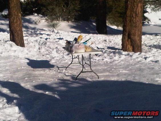 Table with food bags and containers set up in the snow with trees in the background