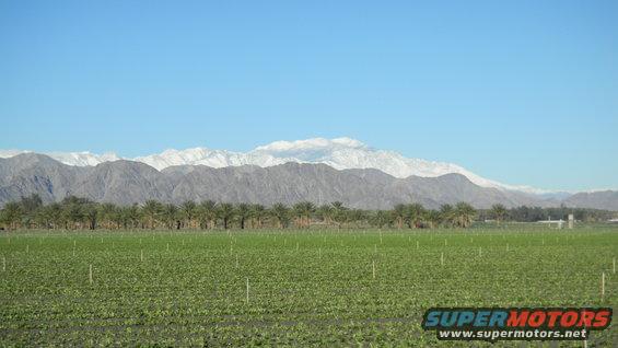 se_2010_2.jpg 