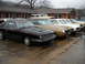 1982 Ford Bronco - Several older model cars are lined up in front of a brick building on a cloudy day.