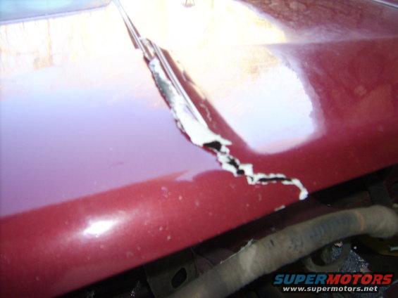 Red car hood with a large crack in the paint and visible rust underneath. A hose is visible in the lower right