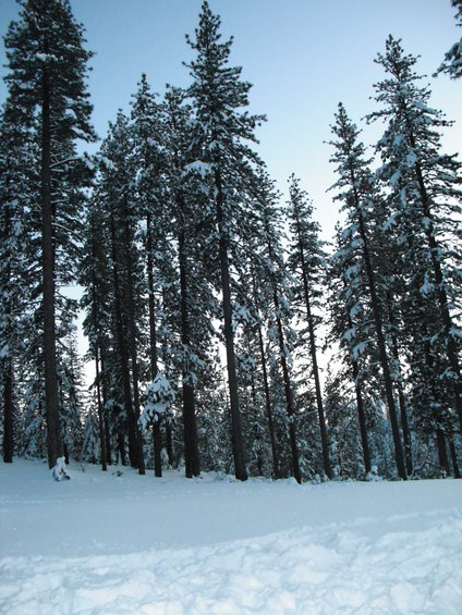 dscf0052.jpg 