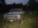 1981 Ford Bronco - my beast in the tall grass