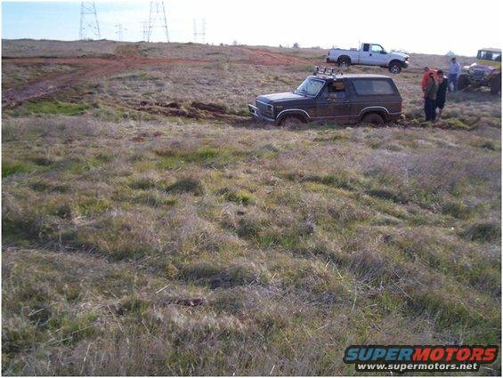 Field behind LP a few years back