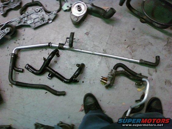 Engine coolant lines and water pump assembly