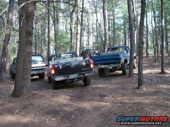 Several pickup trucks parked off-road in a wooded area. One truck has pink and yellow ribbons on its tailgate
