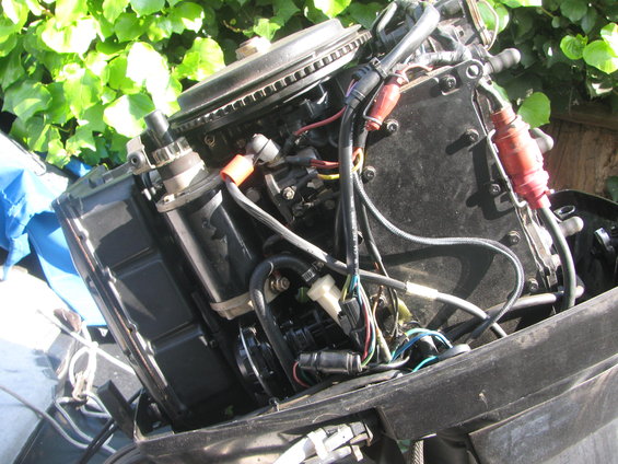 Close-up of an outboard motor's engine block, wiring, and fuel lines