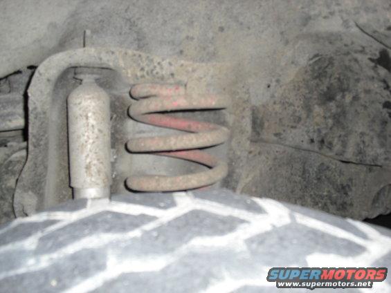Front suspension coil spring and shock absorber
