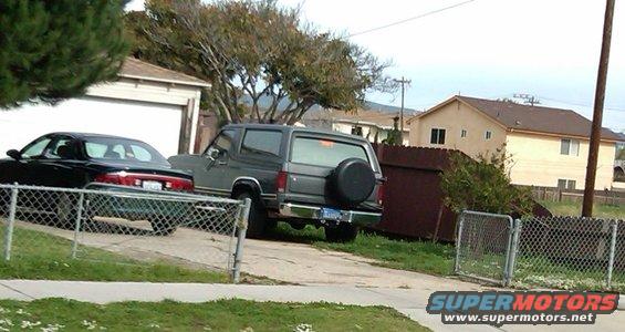 gray_bronco_zoom.jpg