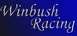 1992 Ford Mustang - Logo for Winbush Racing displayed on a blue gradient background.