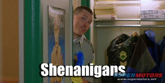 shenanigans.jpg 