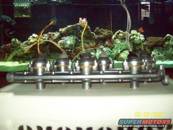100_1607.jpg front side of the new subaru sti 550cc injectors with polished KL rails