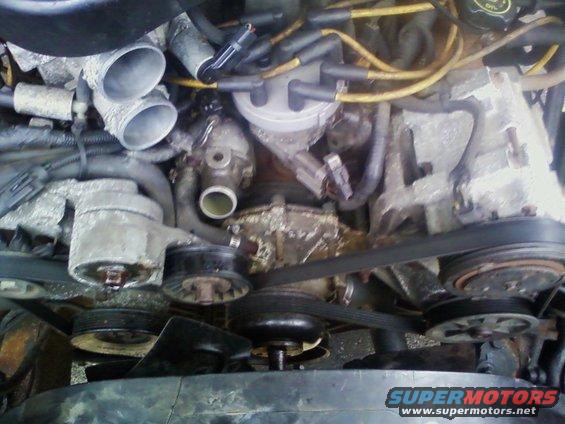 Engine bay with belts and distributor cap