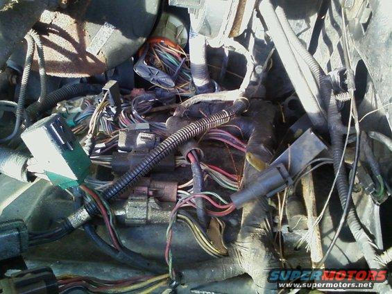 Engine wiring harness with many colorful wires and connectors