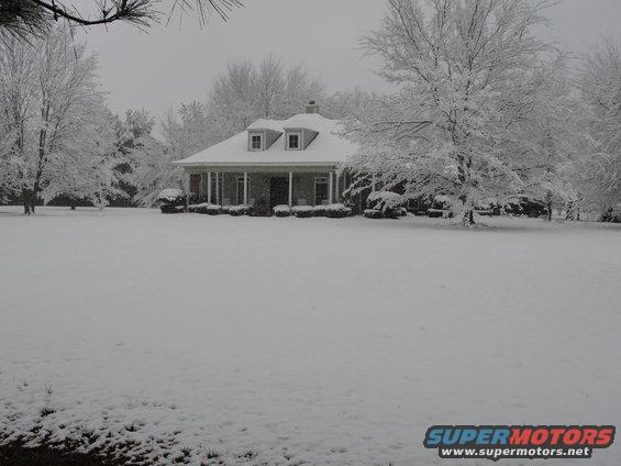 house and trees covered in snow