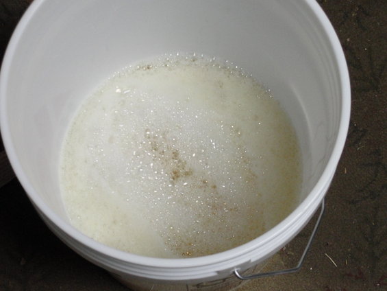 White bucket filled with foamy, bubbly water