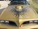 1978 Pontiac Trans Am - The front of a gold 1978 Pontiac Trans Am is shown with a large bird decal on the hood.