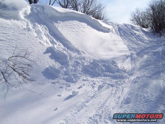 snowy hill with tracks and some bushes