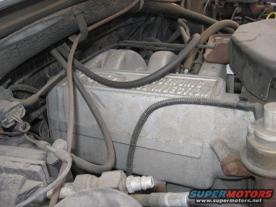 Engine bay of a 1987 Ford Bronco showing the engine block and various hoses and wires