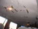 1992 Ford Explorer - The headliner in this vehicle is severely damaged, with large pieces of fabric peeling off.