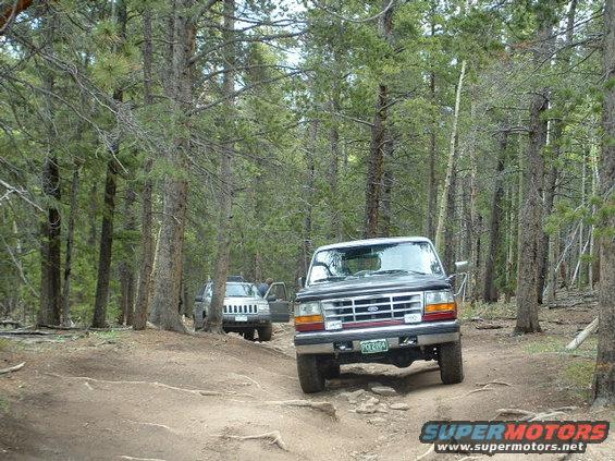 mybronc1.jpg Just a nice wooded area we stopped for lunch.