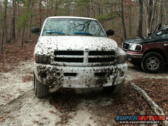Mud-covered white 2001 Dodge 1500 front view