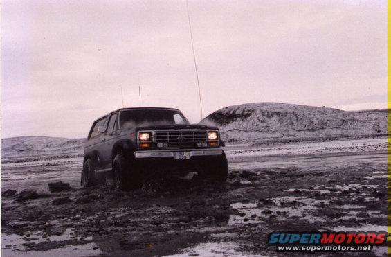 bronco3.jpg the Bronco made it!!