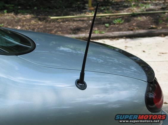 100_0078.jpg My Euro antenna. definately worth what i paid for it. it really eliminates the "stock" look