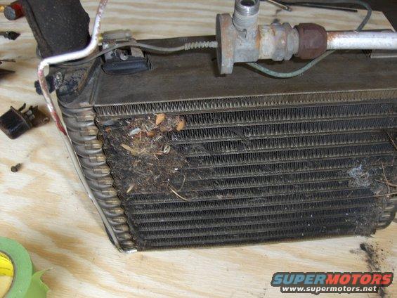 car AC evaporator core with debris on fins