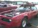 1984 Ford Bronco photo