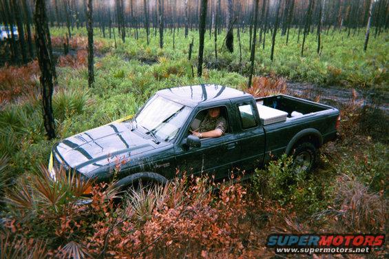 Dark green Ford Ranger pickup truck driving through a wooded area with burnt trees