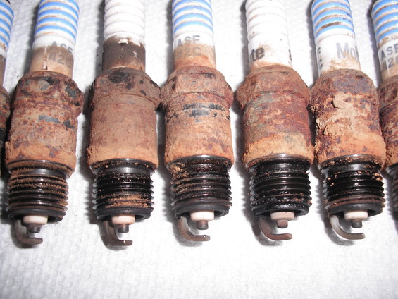 Row of rusty spark plugs with blue and white striped insulators