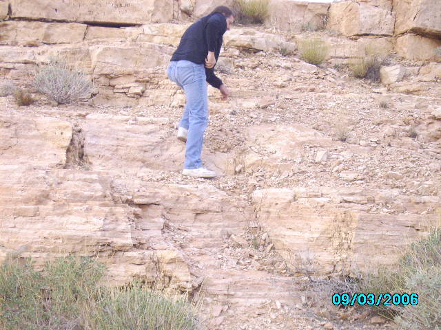 114.jpg