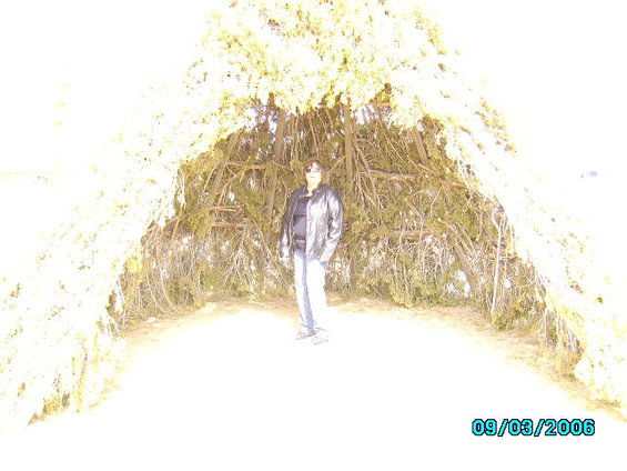 154.jpg 