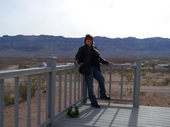 540.jpg view from deck 