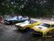 1971 Mercury Cyclone - Three classic cars, including a yellow convertible and a yellow coupe, are parked under trees with a date stamp of 02/26/2010.