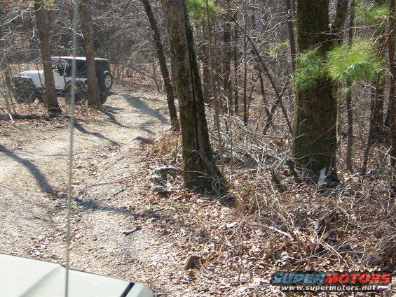 White Jeep Wrangler on a wooded dirt path