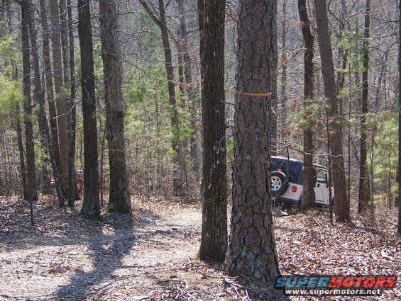 White Jeep Wrangler parked on a wooded trail, spare tire visible on rear