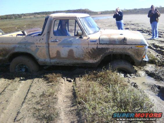 Damn Boggers Dig Lol.