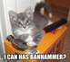 1989 Ford Bronco - A kitten sits atop a box, a hammer resting beside it, with the internet meme text 'I CAN HAS BANHAMMERS?' displayed.