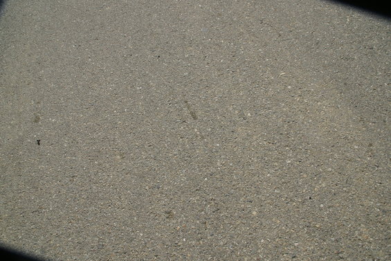 dsc06765.jpg 