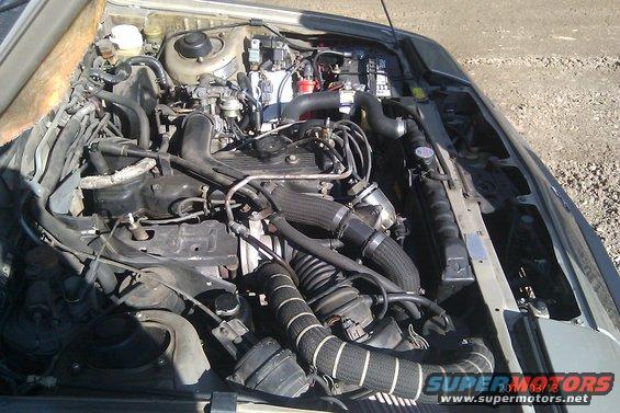 Engine bay with hoses and wiring