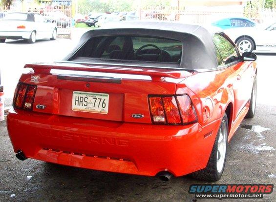 2002-red-mustang-gt-vert-rear.jpg 